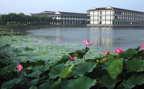 荊州洪湖藍田生態園拓展基地