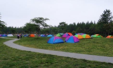 蔡甸鳳翔島拓展基地