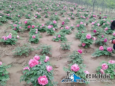 紅安春曉家庭農(nóng)場拓展基地