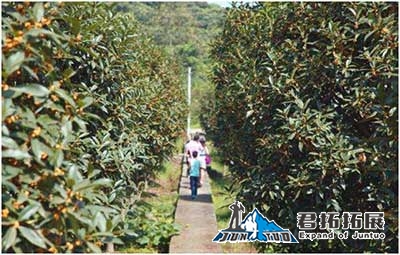 大冶鄂王城生態文化園拓展基地